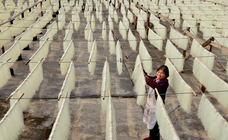 烘干海產品的對比問題