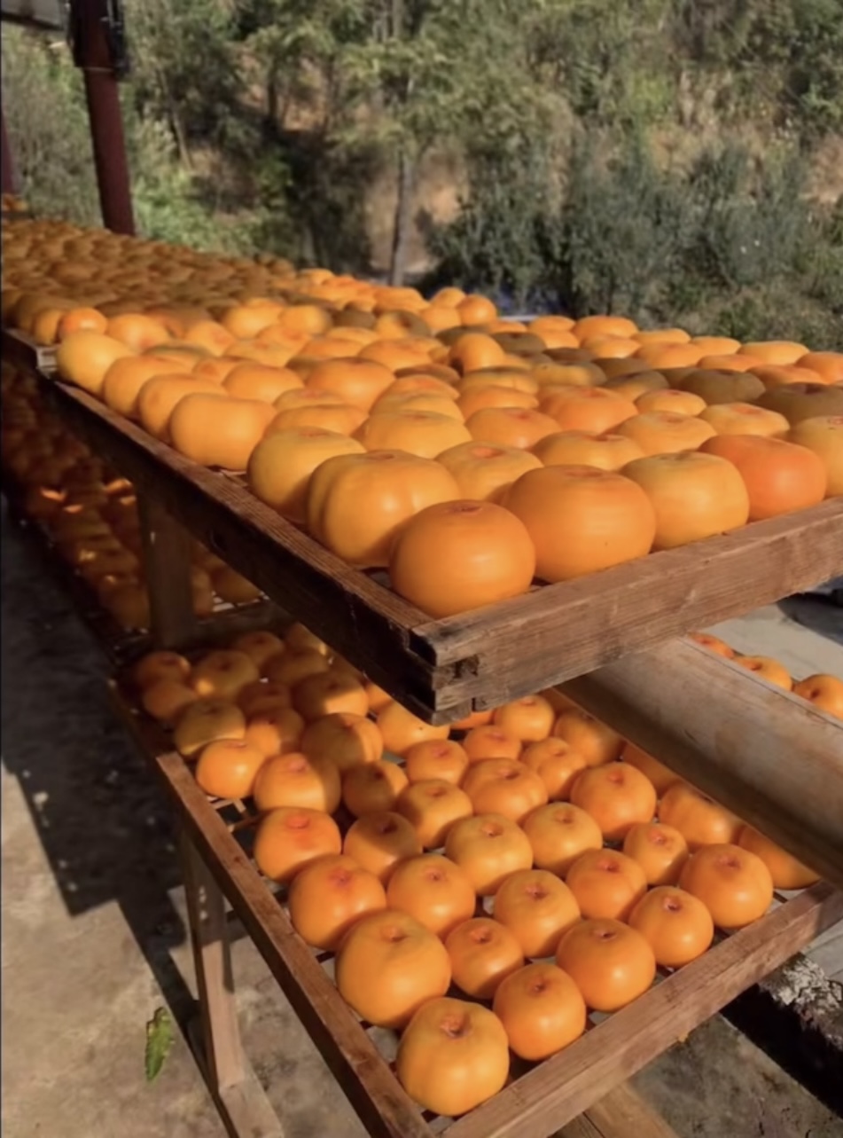 441bf7c49a15f30a1b4266d766ef11e.jpg 441bf7c49a15f30a1b4266d766ef11e.jpg