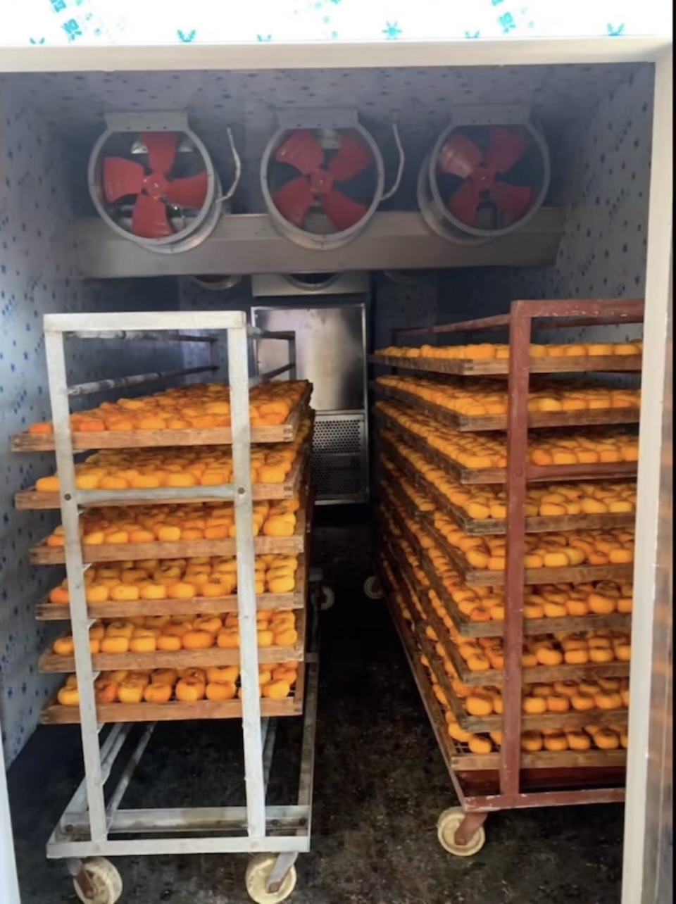 90dc6bebe1dd22972cfd447bf31d142.jpg 90dc6bebe1dd22972cfd447bf31d142.jpg