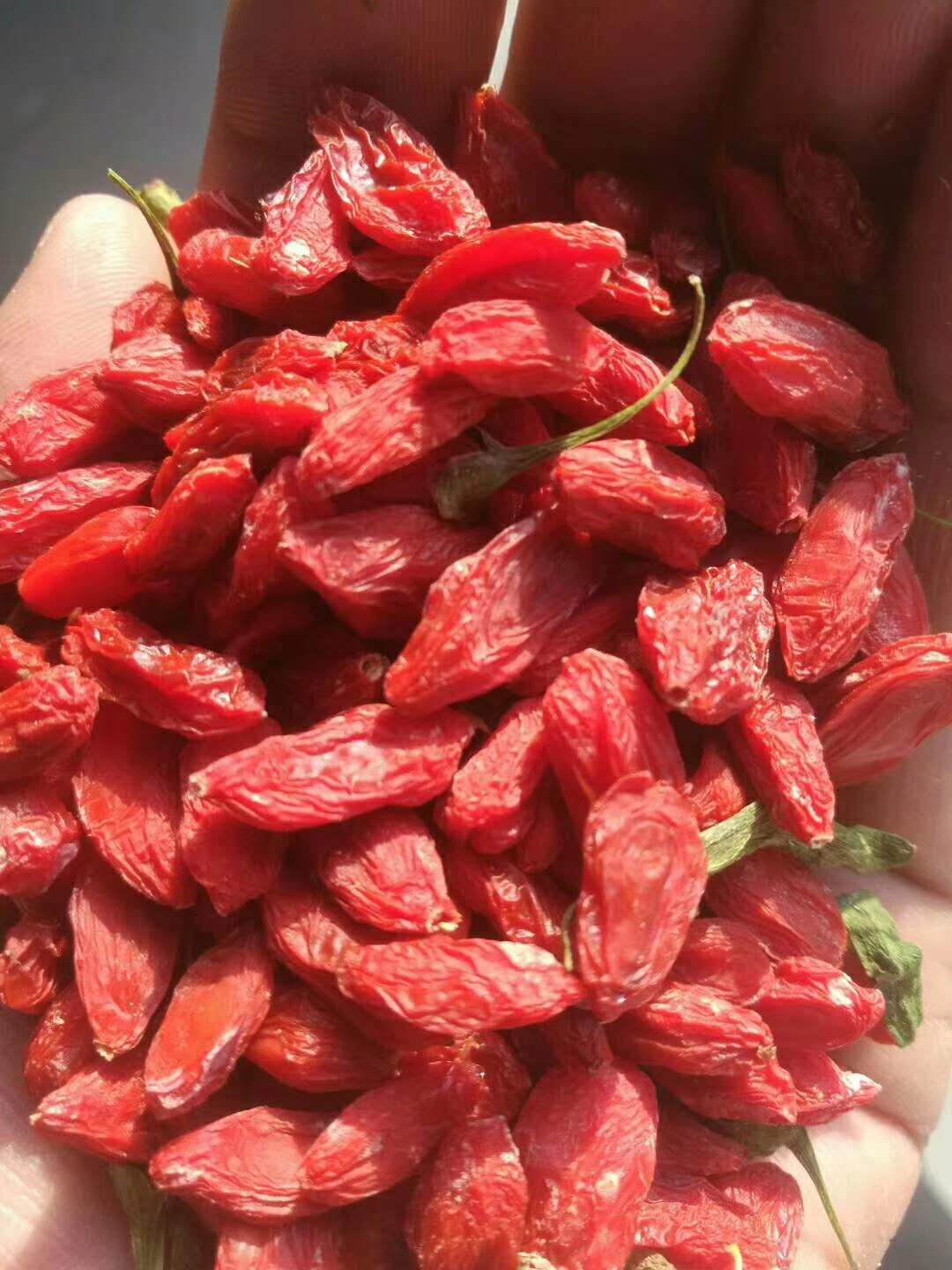 微信圖片_20201028111313.jpg 微信圖片_20201028111313.jpg