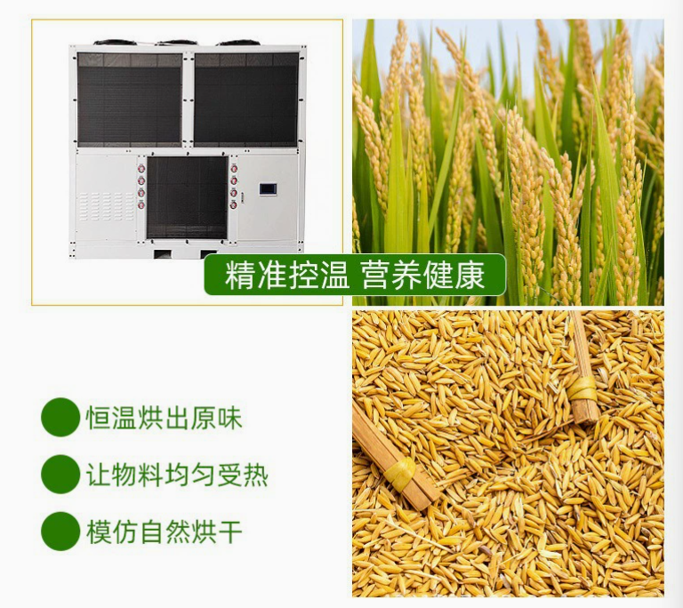 谷物烘干出口的高效解決方案