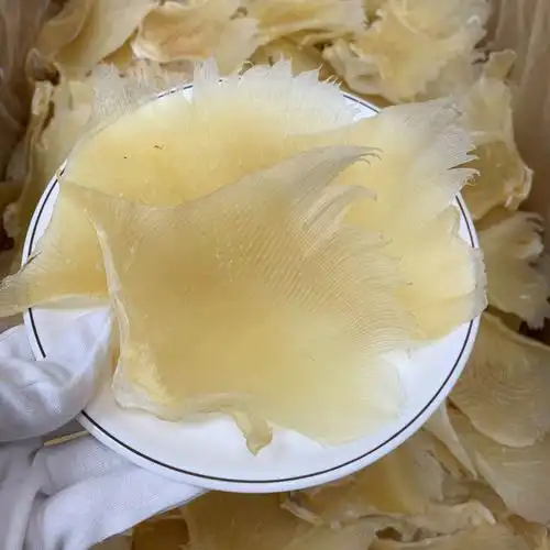 潮州魚翅烘干項(xiàng)目