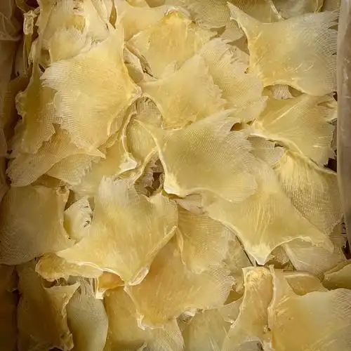 潮州魚翅烘干項(xiàng)目