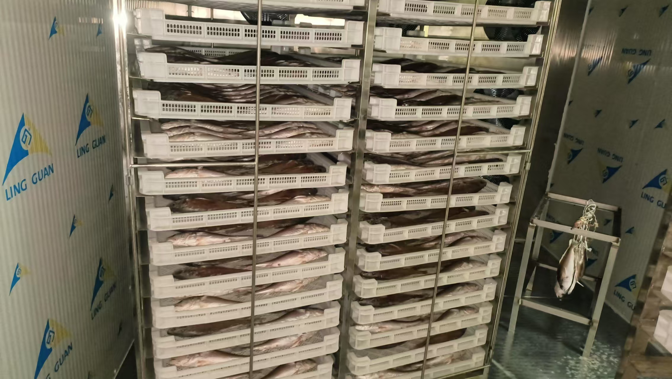 帝燁烘干機—韓國釜山海魚烘干項目