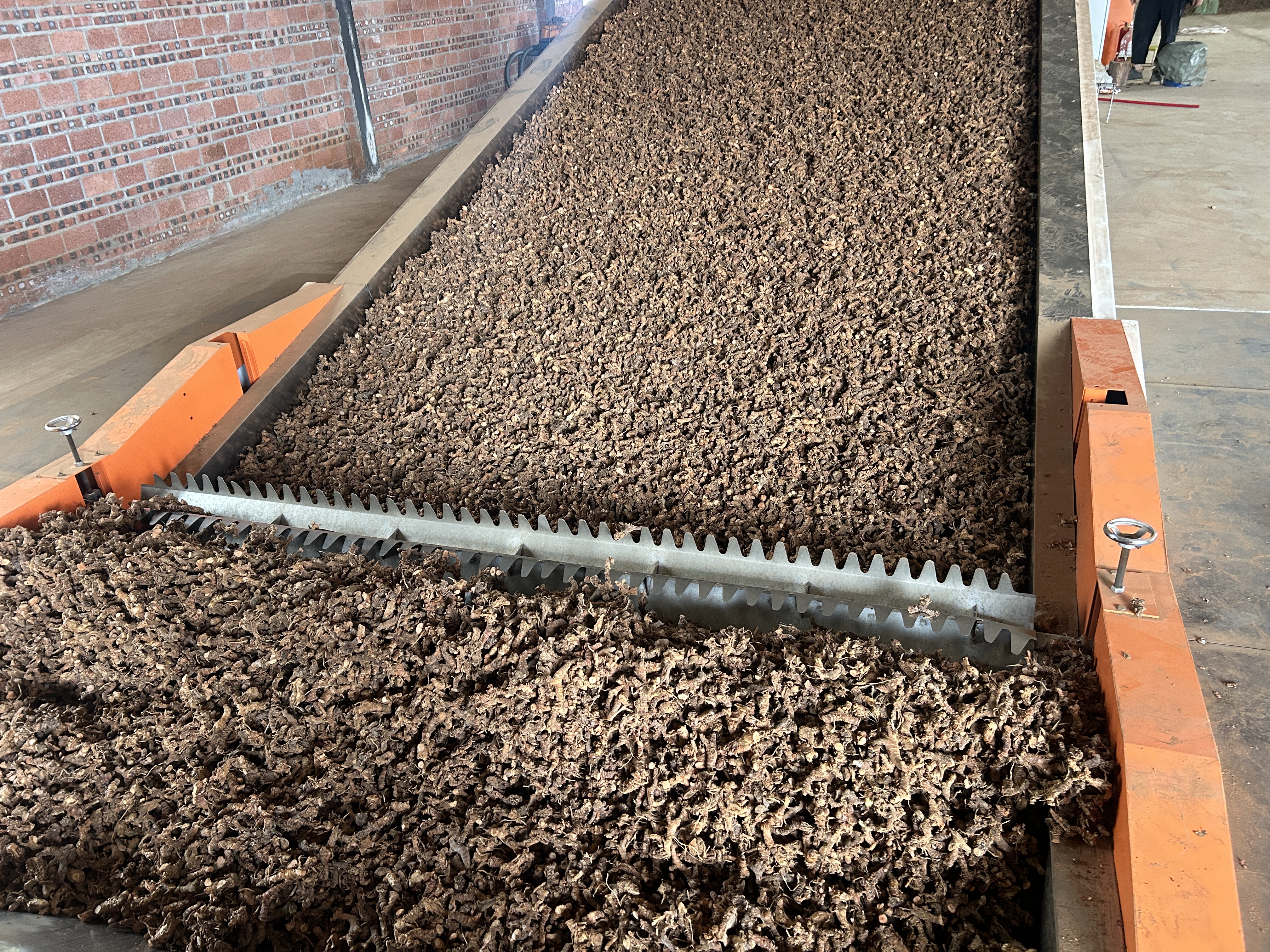 帝燁能源湛江（良姜）烘干項目