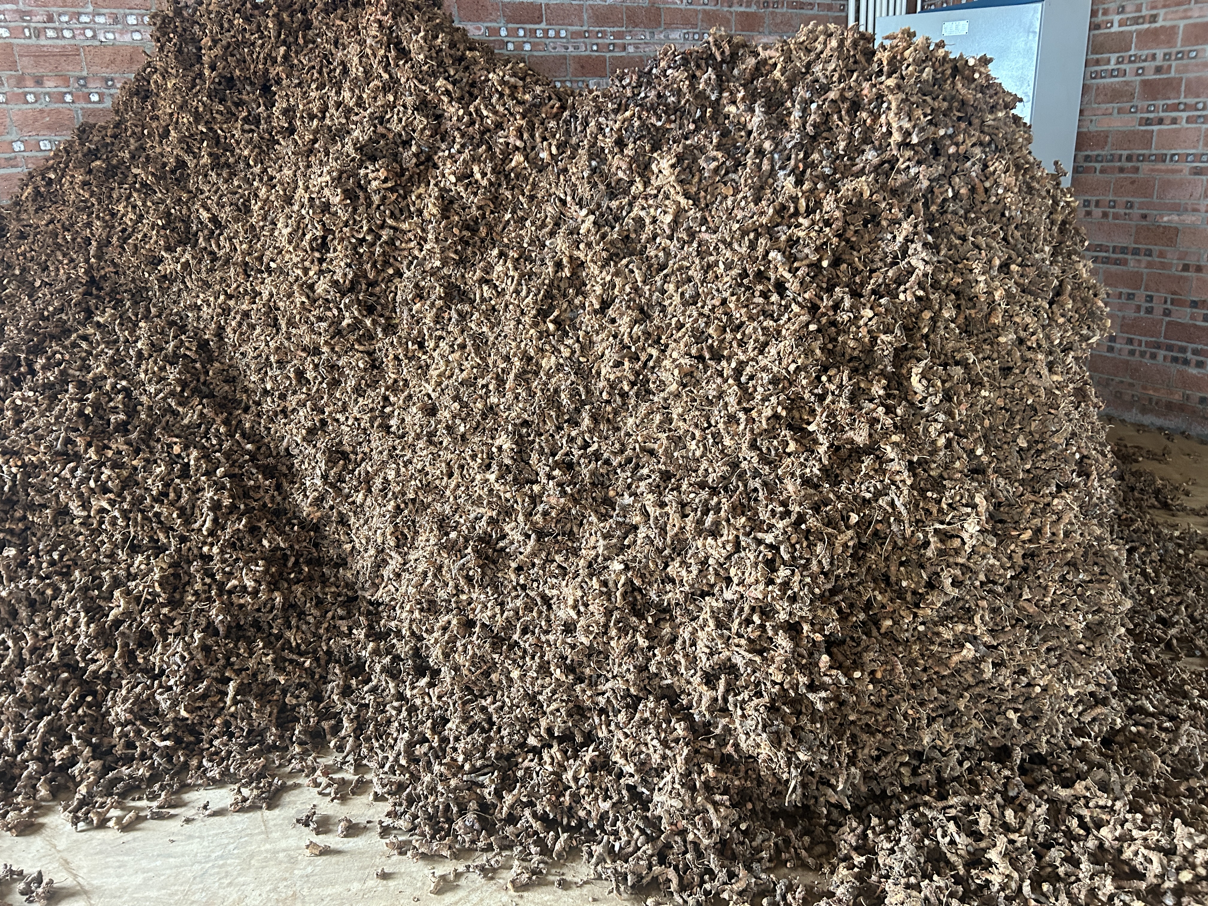 帝燁能源湛江（良姜）烘干項目