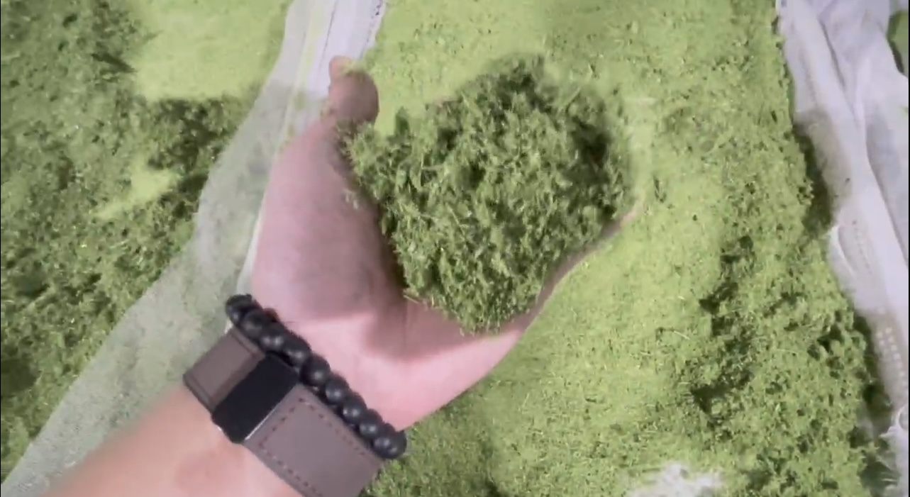 牧草烘干：含水量從80%降至15%以下，保持翠綠不變色。