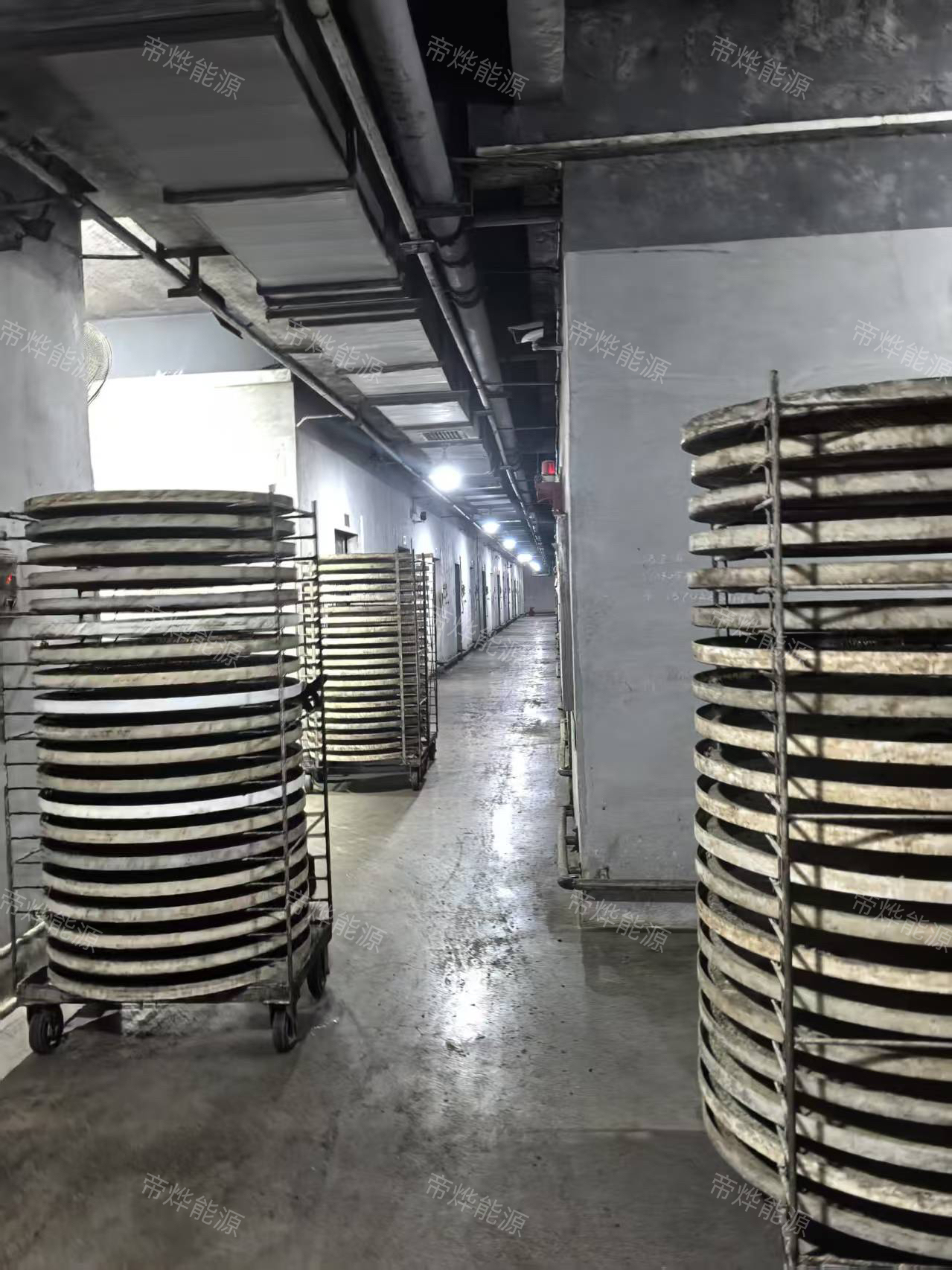 陽江豆鼓烘干項目