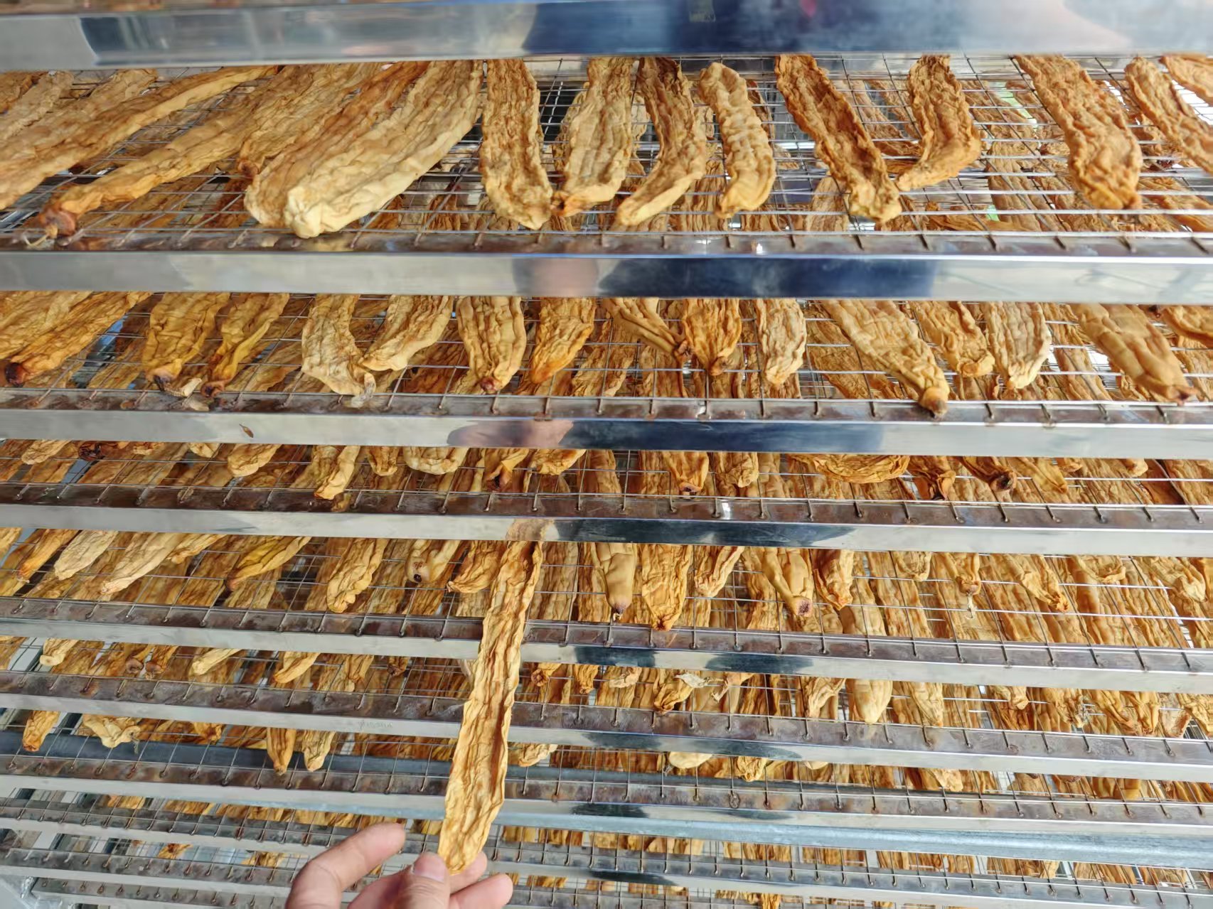 黃瓜干烘干項目