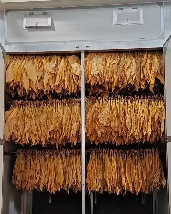 煙草烘干：客戶反饋效果非常好