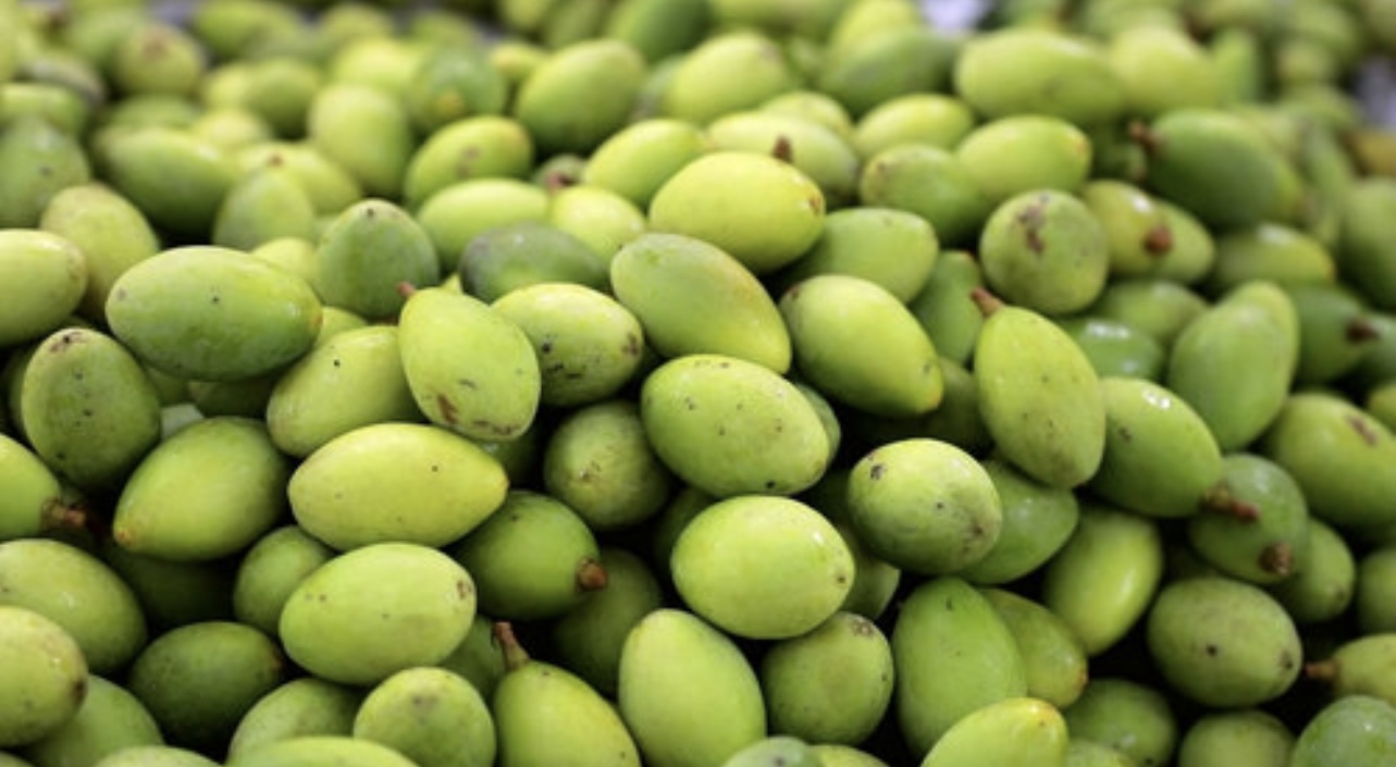 青果烘干：從采摘到成品，熱泵烘干如何實現色澤與營養雙保留？