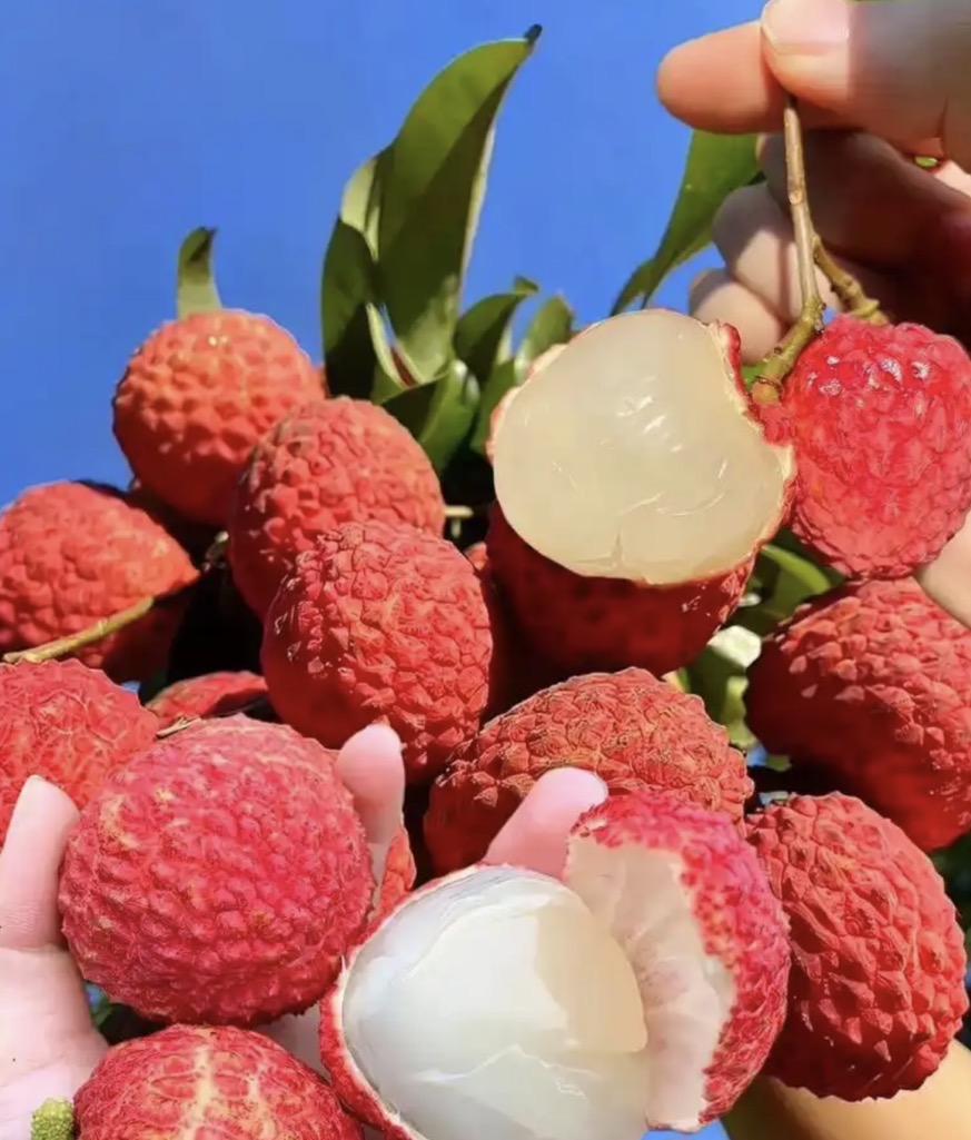 荔枝烘干：就用熱泵設備，干貨更值錢