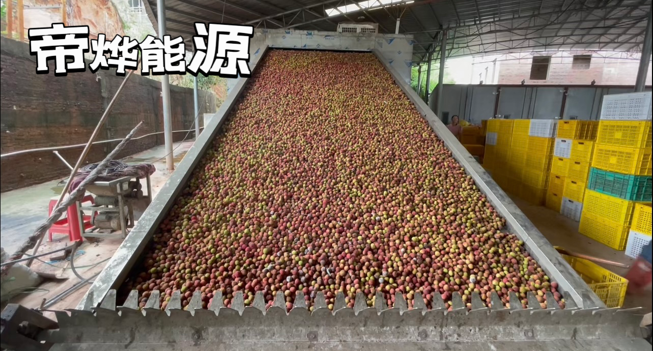 帝燁能源——高州荔枝烘干項目