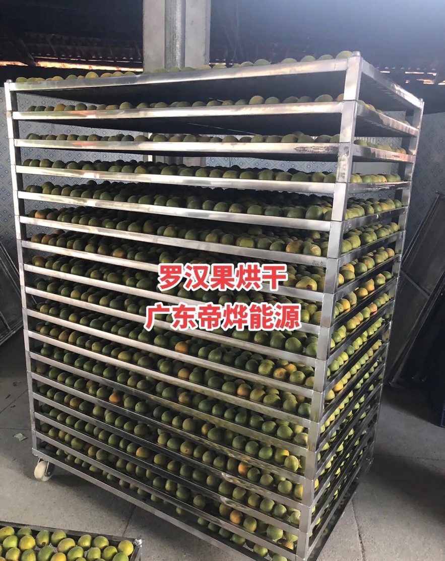 羅漢果烘干項(xiàng)目