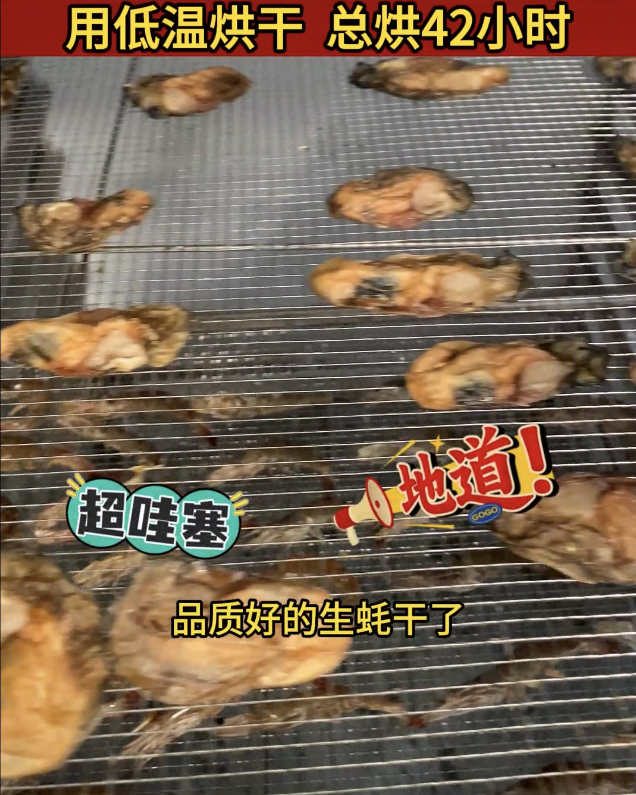 海產生耗烘干愁？熱泵恒溫除濕，魚 / 蝦 / 貝類 24 小時烘透，成本低還衛生！