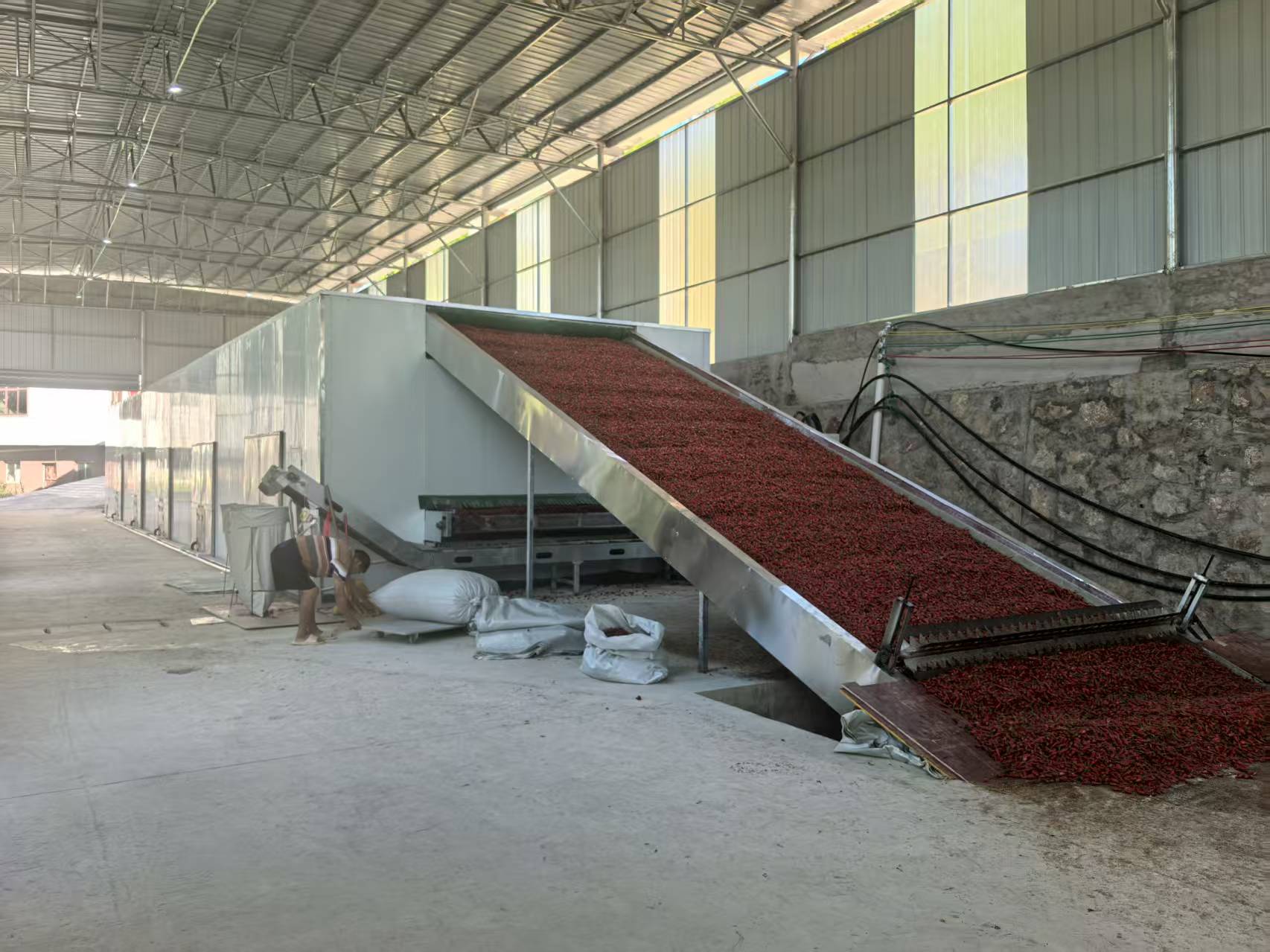 子彈頭辣椒烘干項(xiàng)目