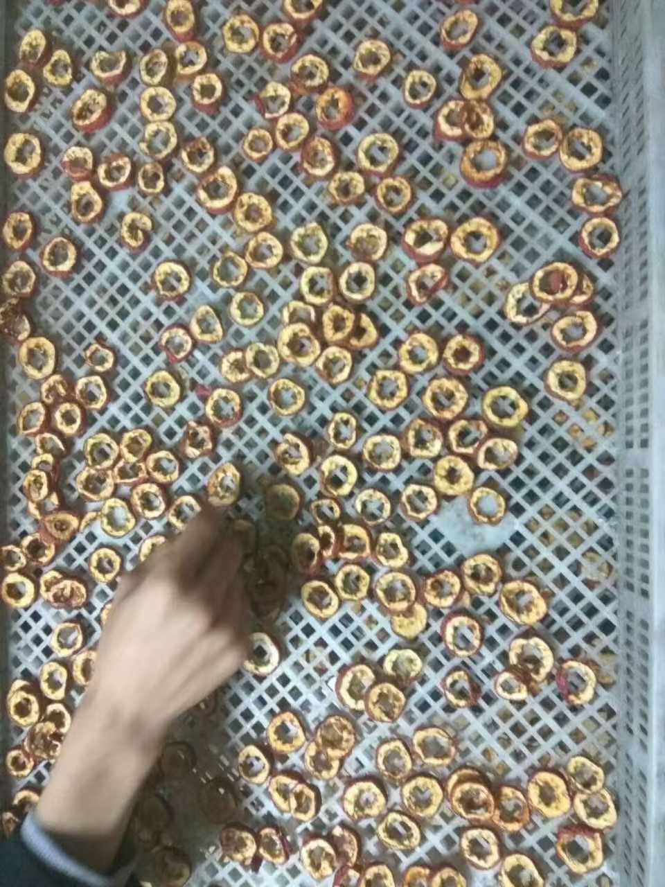 山楂片烘干