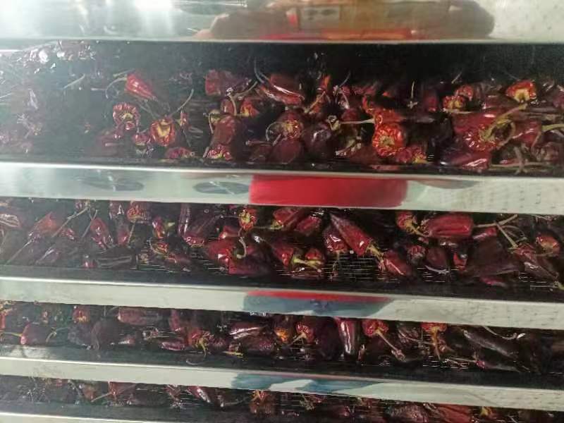 陽江辣椒烘干項目