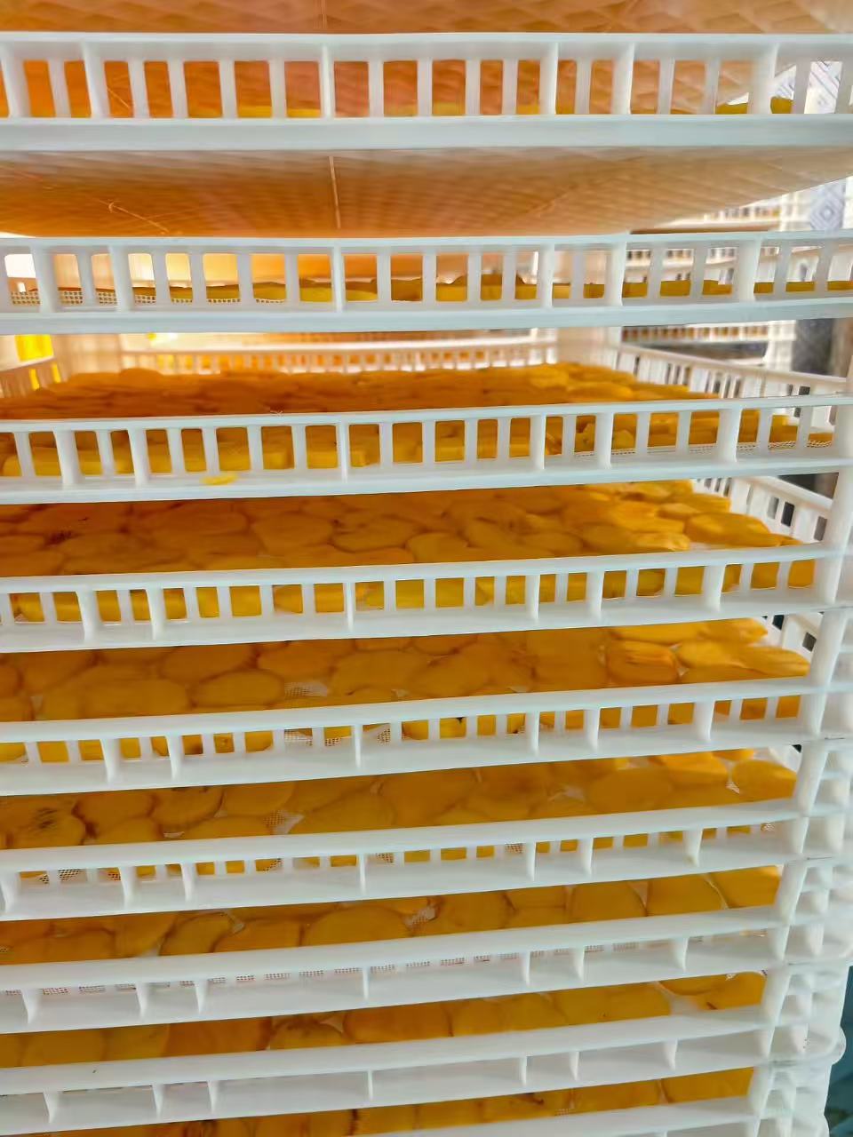 柿餅片烘干項目