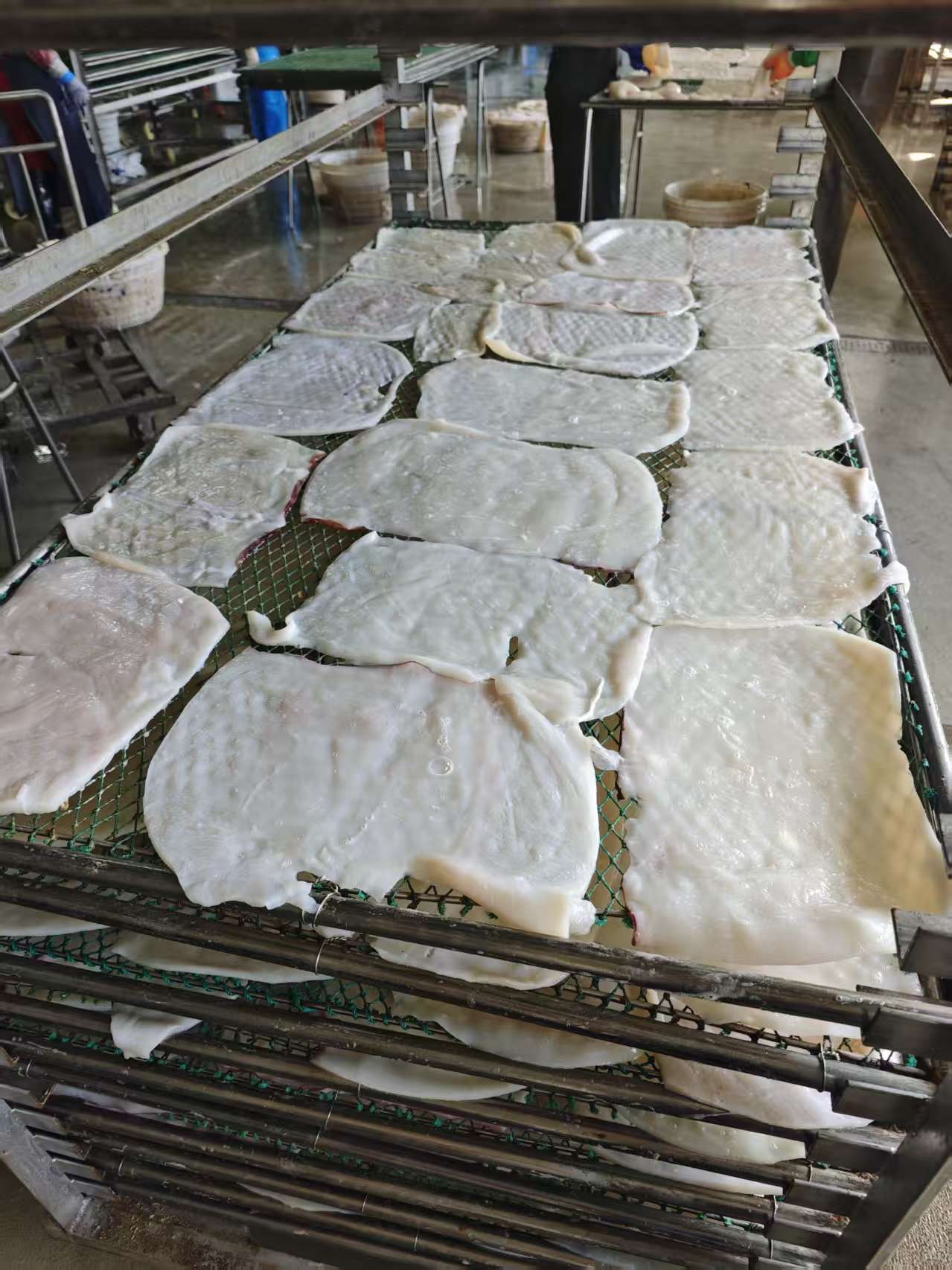 舟山魷魚絲烘干項目