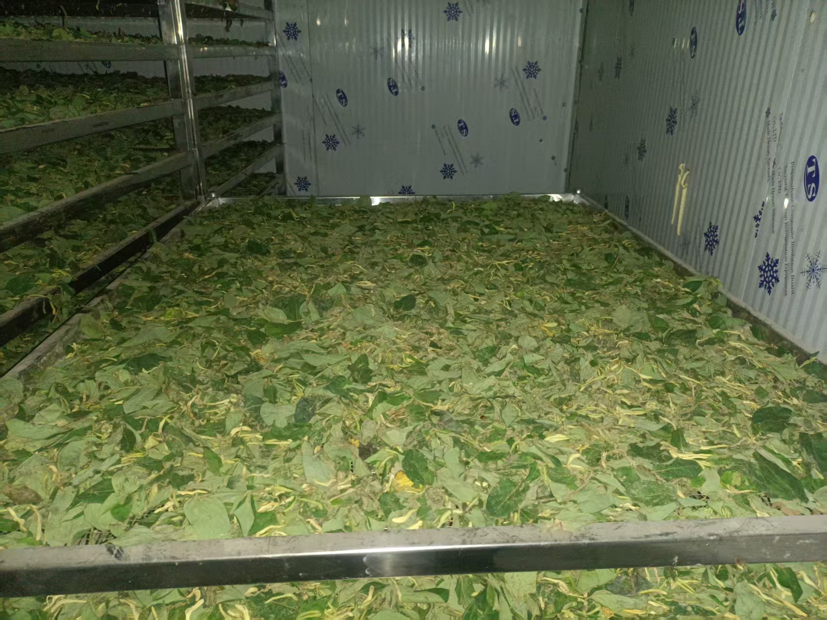 金銀花烘干案例