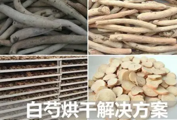 中藥材白芍烘干：空氣能熱泵優勢詳解