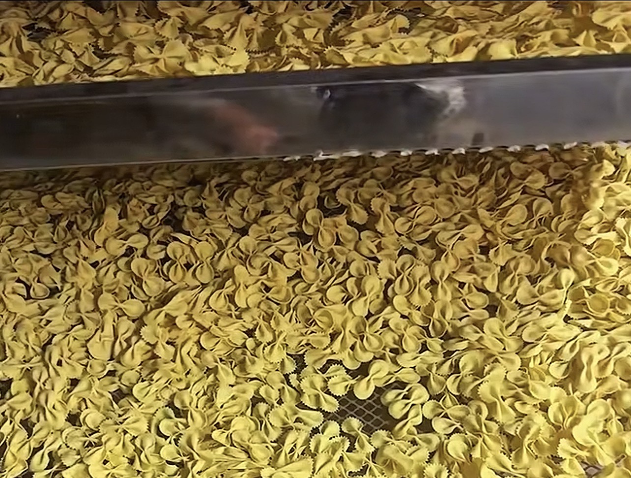帝燁閉環空氣能烘干：蝴蝶面含水率可控＜10%，助力面制品加工提質增效